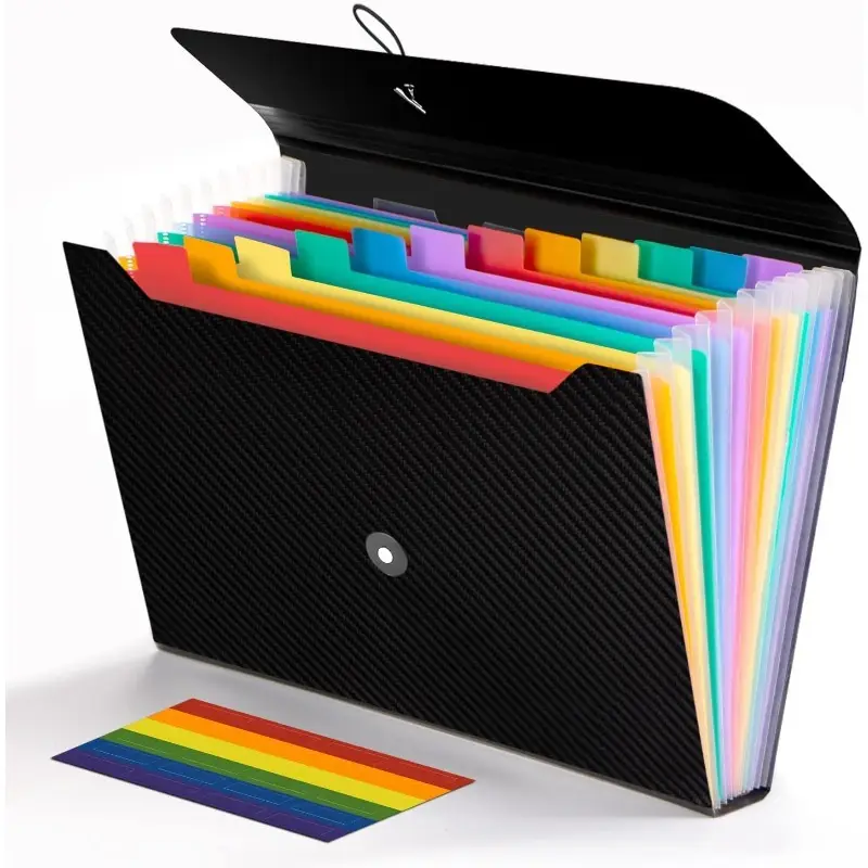 Creative File Organizer – Accordion Style (13 Pockets)