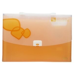 Expanding Bag #885 – Assorted – Sensa