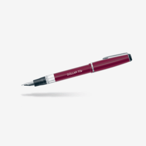 Dollar 717i Fountain Pen Pack Of 10